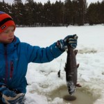 Öring fiske i Nävsjön